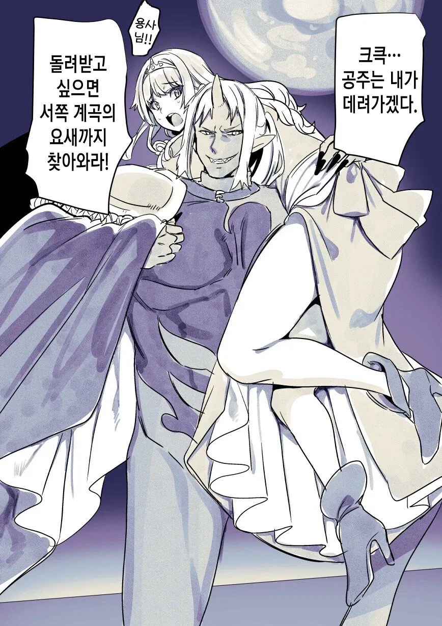 납치당한 공주님manga