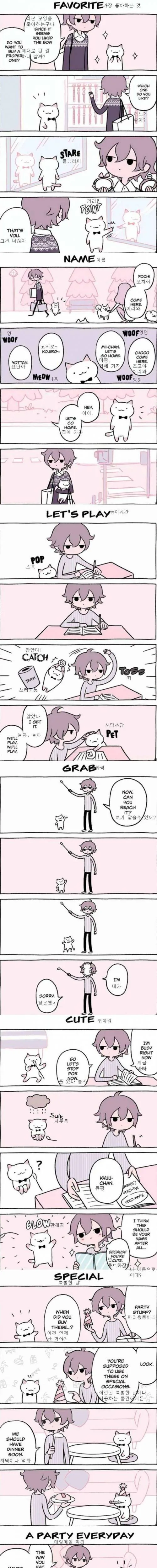 이세상 고양이가 아니다.Manga - 이미지 4