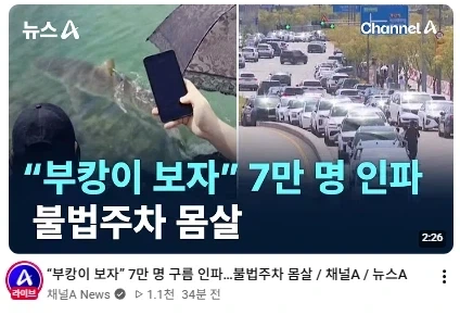 추석 첫날 7만명을 끌어모은 부산 상어.jpg