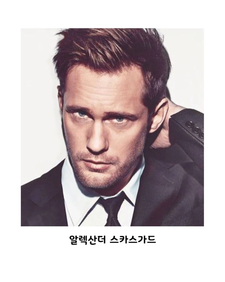 매즈 미켈슨과 스카스가드같은 명배우들을 집합시킨 영화.JPG - 이미지 2