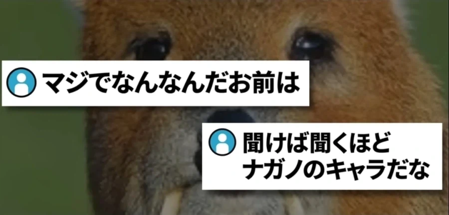 고라니 일본반응중 공감한거