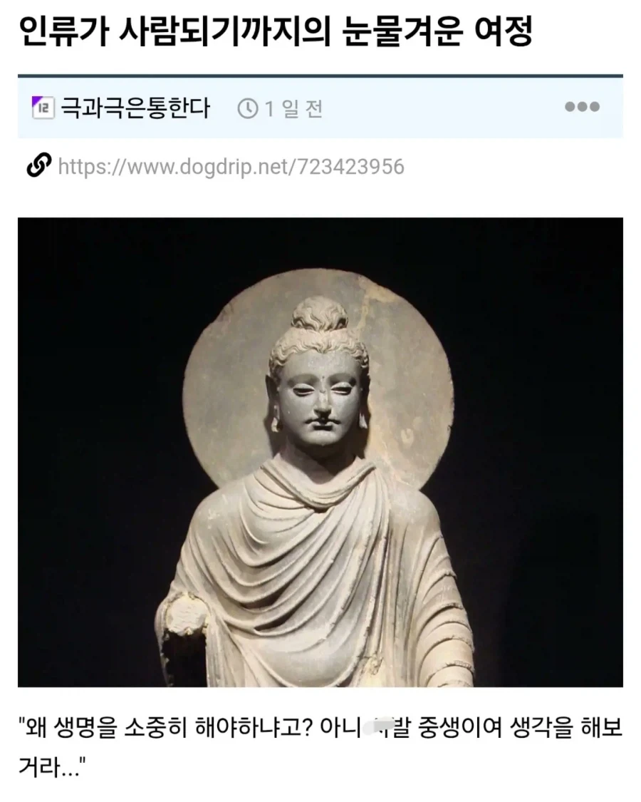 인류가 사람이 되기까지의 눈물겨운 여정ㅋㅋㅋㅋㅋㅋ ㅠㅠㅠ