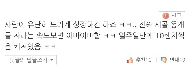 동물 키우는 사람들이 신기해하는 것.jpg - 이미지 2