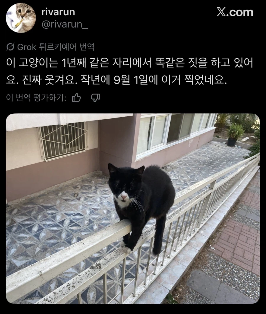 동네 명물 - 이미지 2