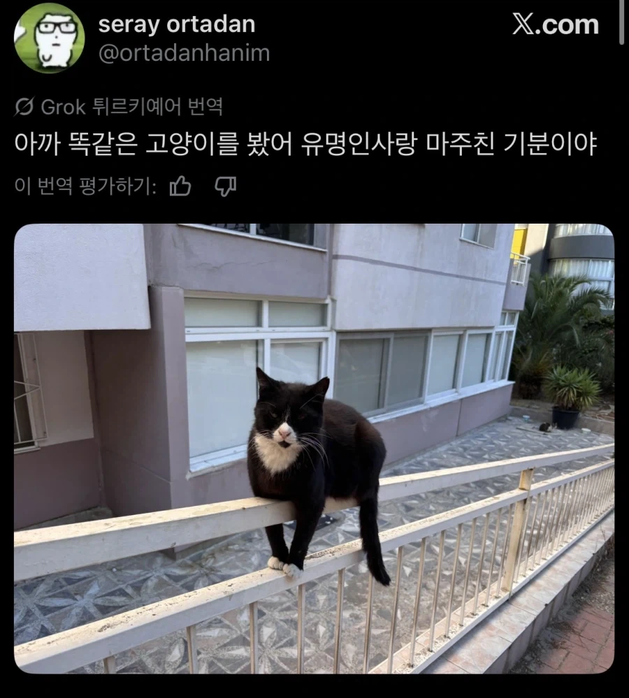 동네 명물 - 이미지 3