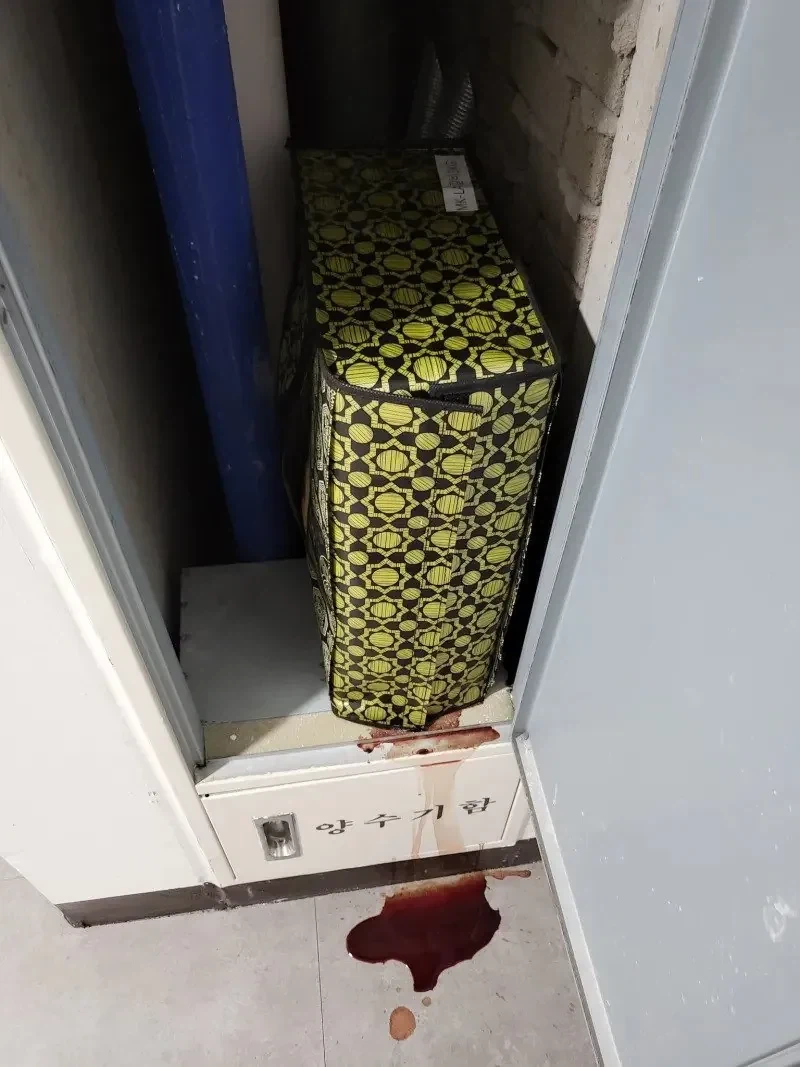 추석 명절 양수기함에서 흘러내리는 핏물.jpg - 이미지 2