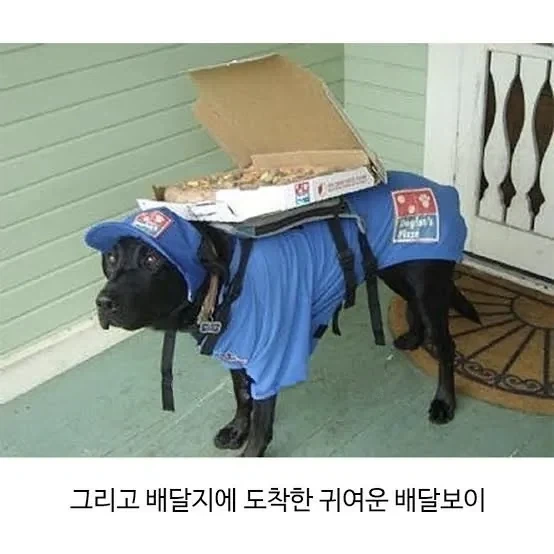 요청사항을 정확히 들어준 피자집.jpg - 이미지 2