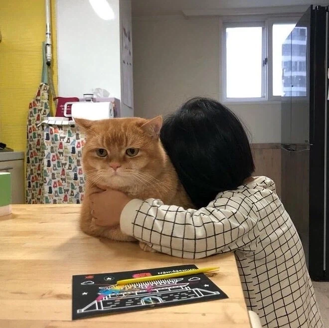 푹신한 고양이 모양 쿠션.jpg - 이미지 2