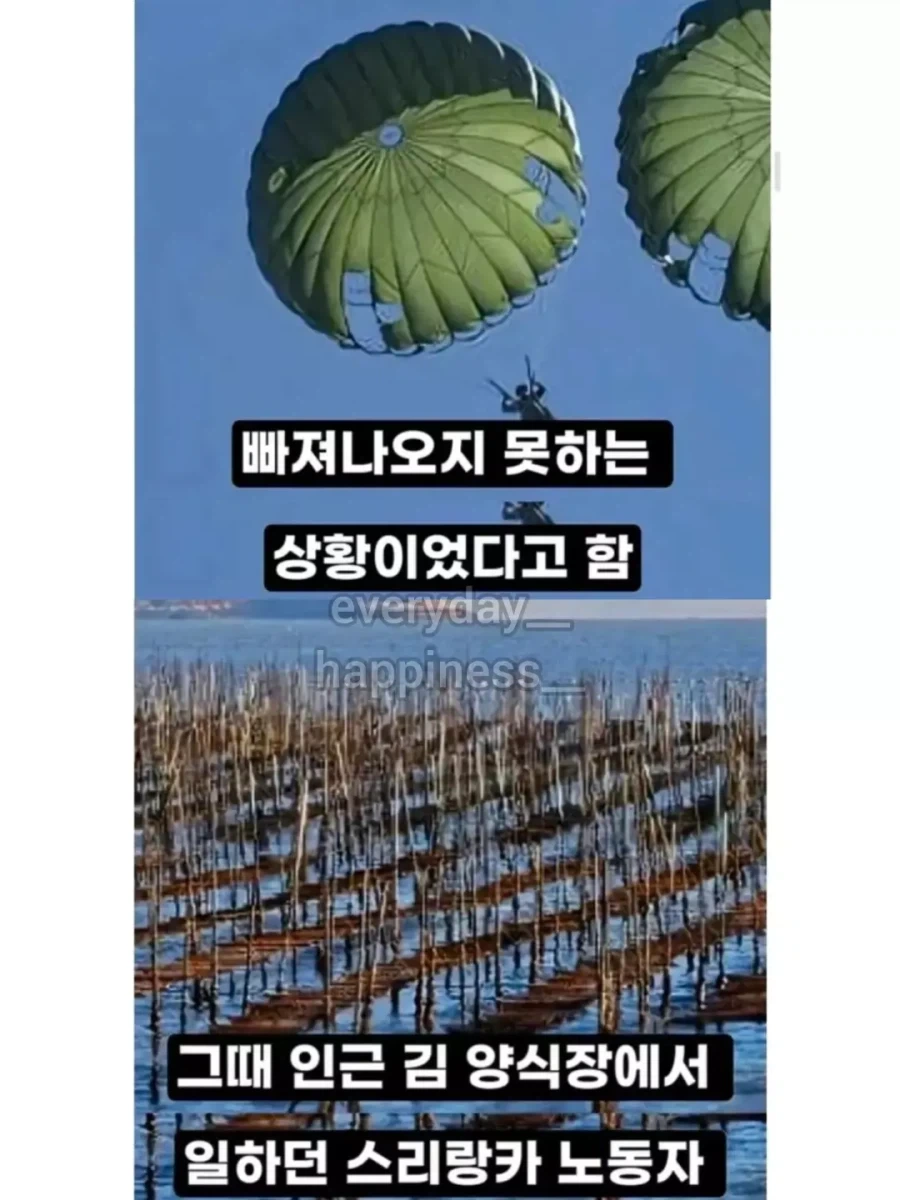 추락한 전투기 조종사를 구출... - 이미지 5