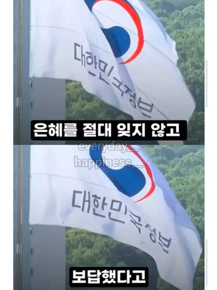 추락한 전투기 조종사를 구출... - 이미지 11
