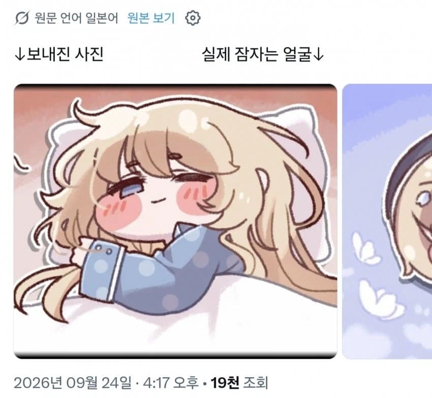 DM으로 보낸 잠자는 사진 vs 실제 잠자는 사진