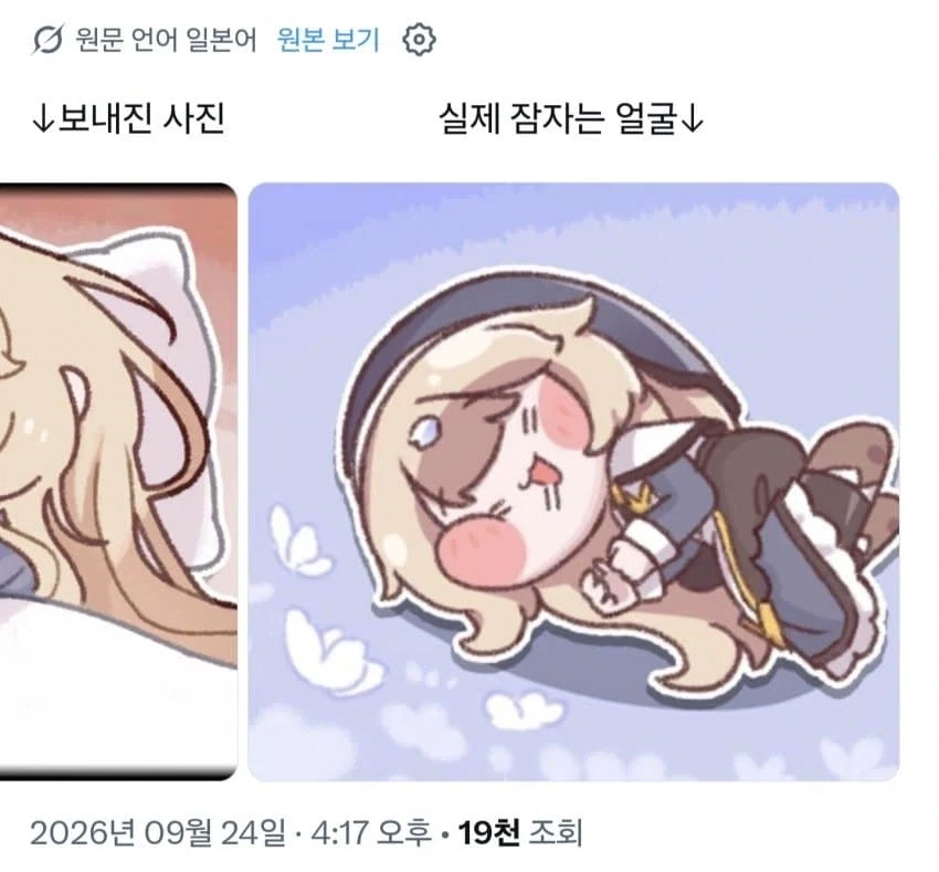 DM으로 보낸 잠자는 사진 vs 실제 잠자는 사진 - 이미지 2