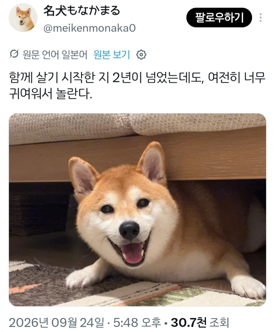 개를 몇년 키워도 적응이 안되는것