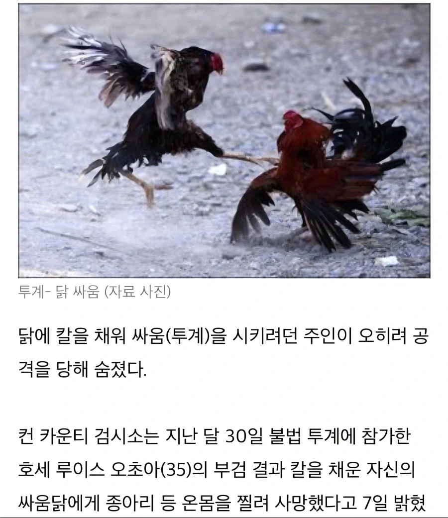 공룡이 무기를 사용하기 시작하면 - 이미지 3