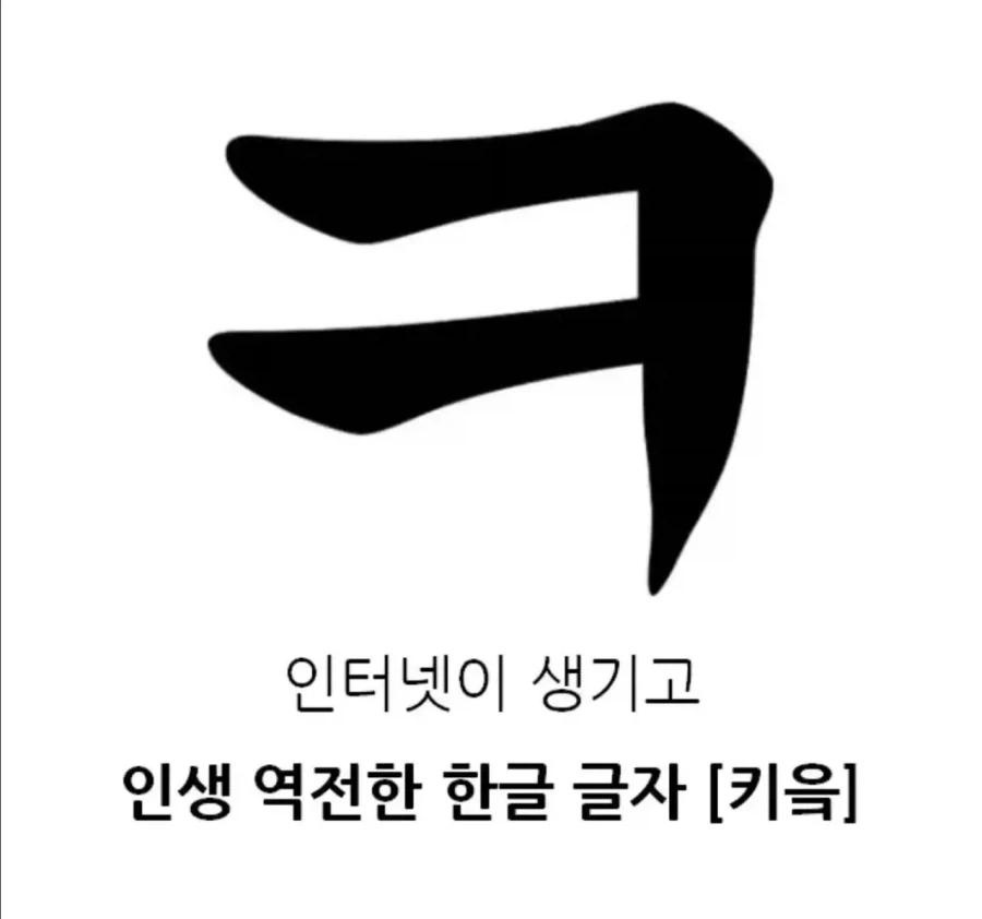 인터넷이 생기고 인생 역전한 한글 글자