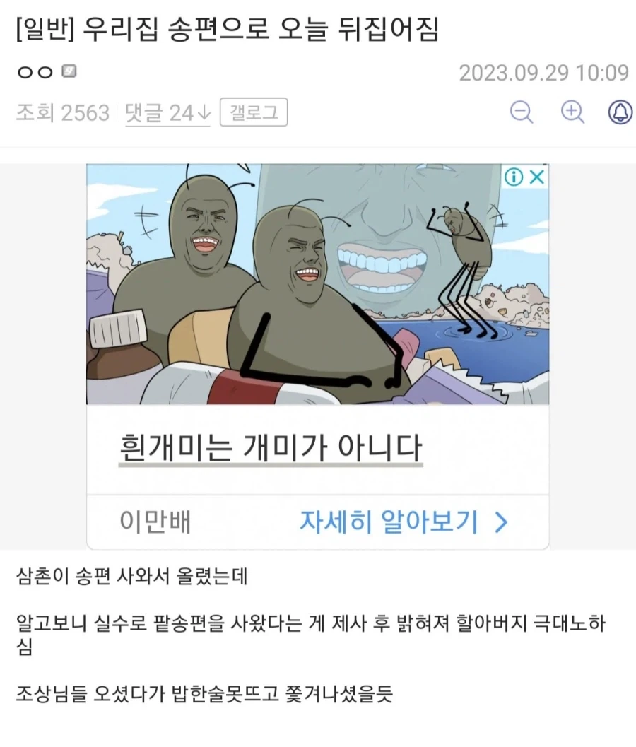 송편때문에 집안 뒤집어진 디씨인