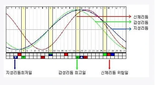 디지털 시대의 네티즌들이 열광한 점술 - 이미지 2