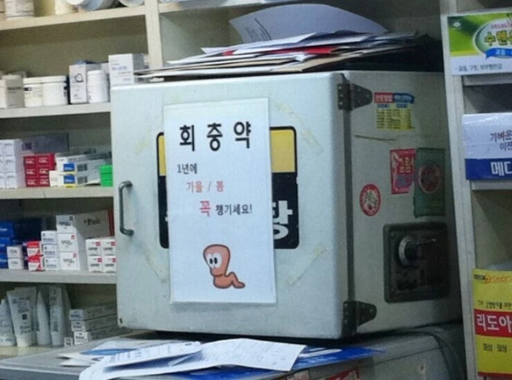 회충약 무조건 먹어야 하는 이유
