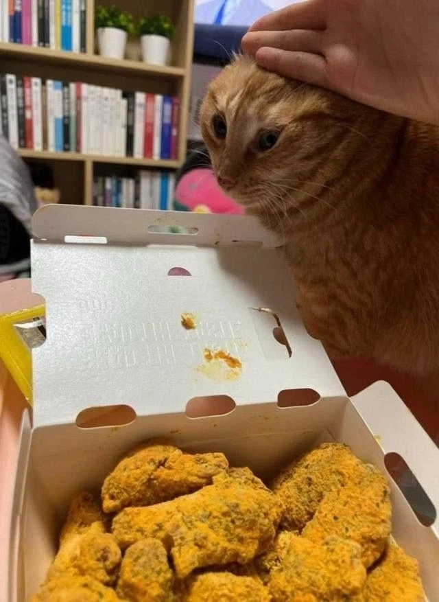 물러서라, 탐욕스러운 짐승아