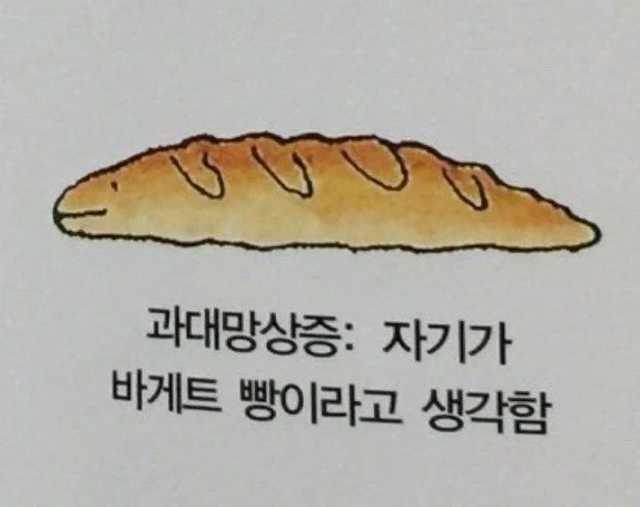 과대망상증 : 자기가 바게트 빵이라고 생각함