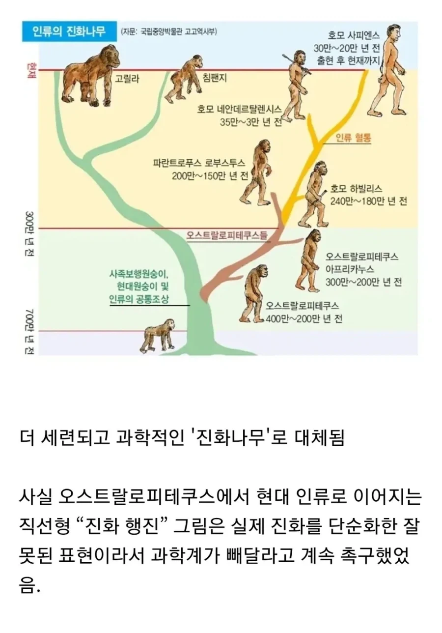 진화론을 부정하는 웃대인 - 이미지 2