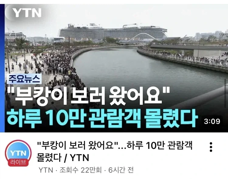 명예로운 죽음을 당한 여수 섬박람회 - 이미지 2