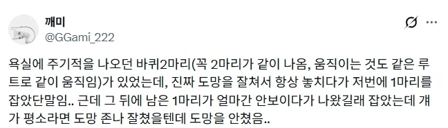 욕실에 주기적으로 나오던 바퀴 2마리가 있었다.jpg
