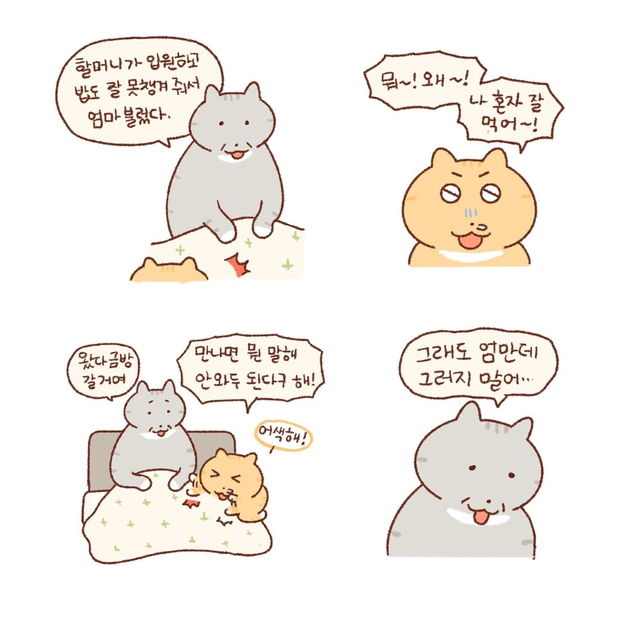 따로 사는 엄마가 비싼 레고 사주는 만화.manwha - 이미지 2