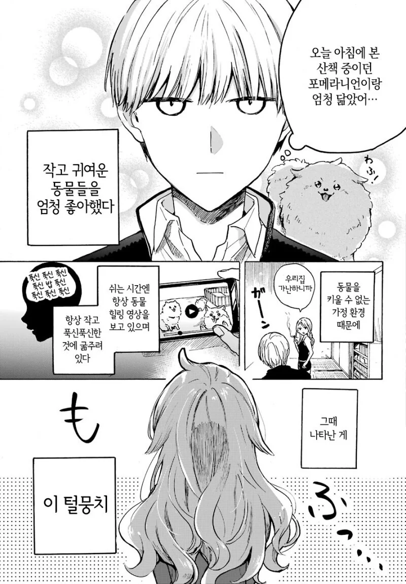 소동물계 여자아이를 들었다놨다하는.manhwa - 이미지 5