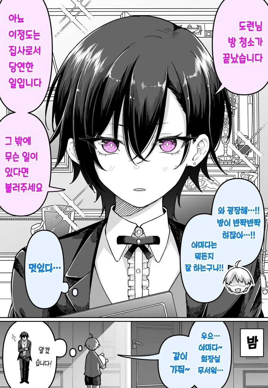밤에 집사 방을 찾아가는 만화