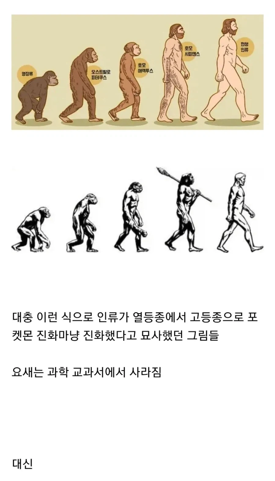 진화론을 조롱하는 대학생