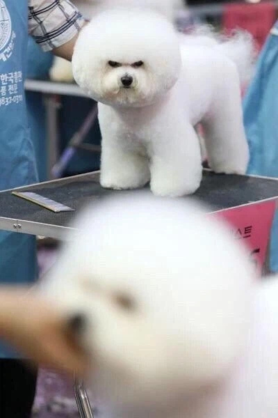 언니, 무조건 저년보다 예쁘게 해주세요!