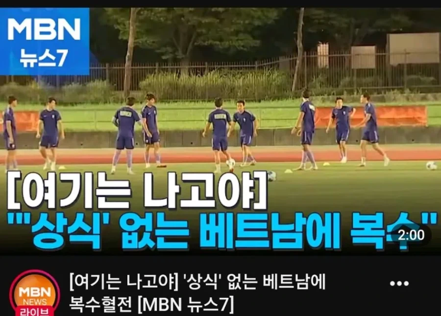 "상식"없는 베트남에 복수