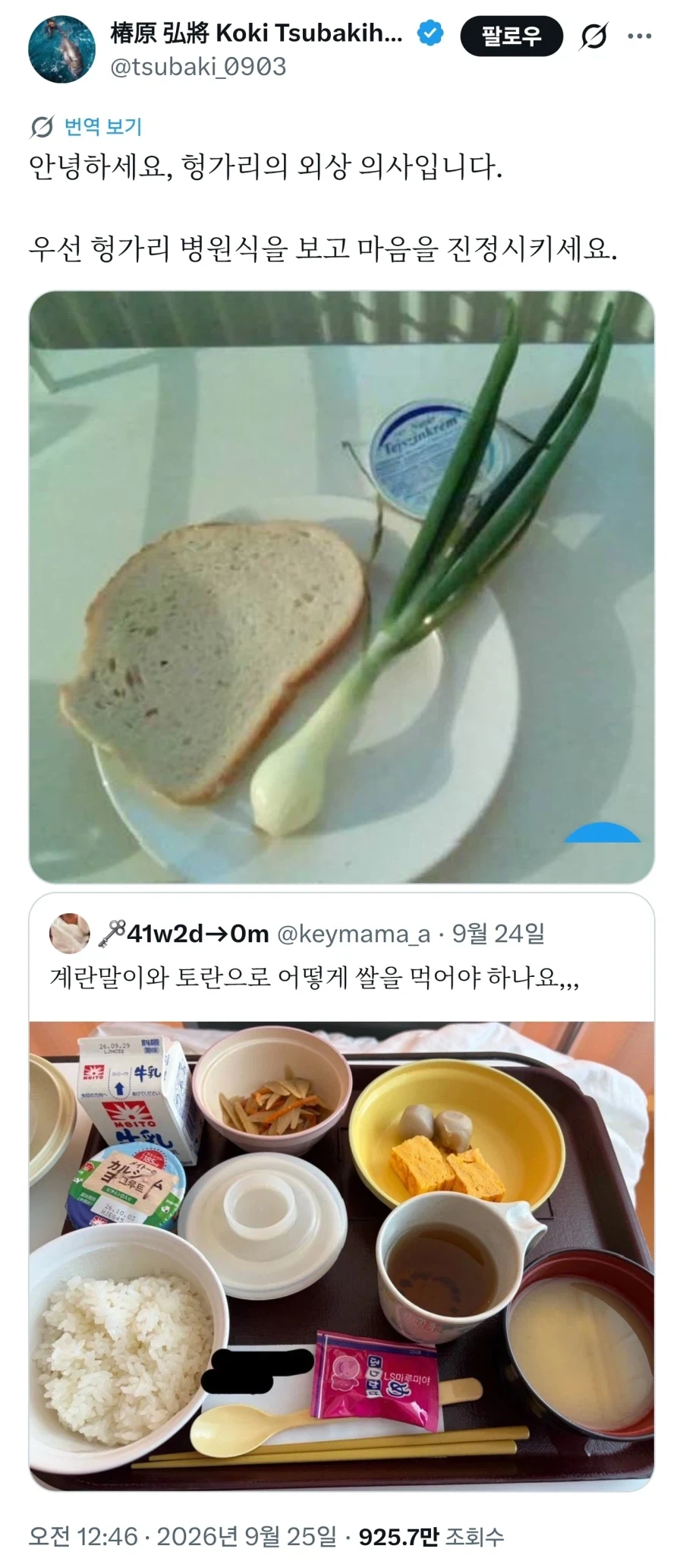 일본에서 조회수 900만을 찍은 헝가리 병원 식사
