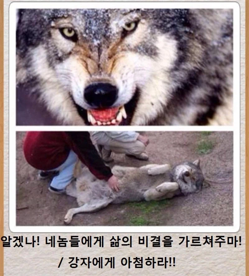 야생에서 살아남는법