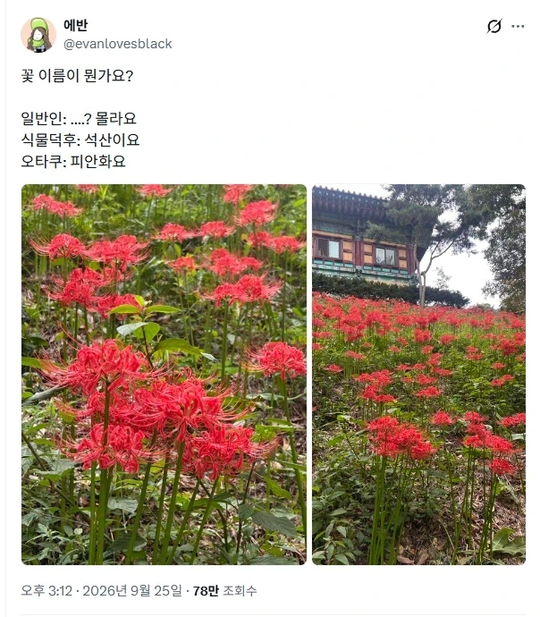 일반인과 덕후, 오타쿠의 인식이 다른 꽃