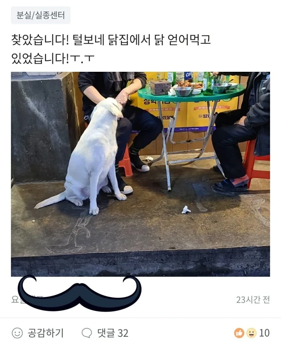 당근에 올라온 분실 댕댕이 - 이미지 2