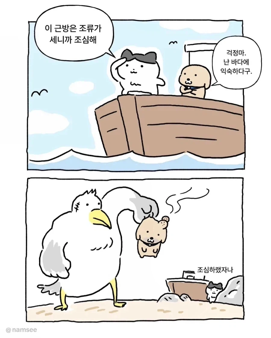 바다에서느 조류를 조심해!