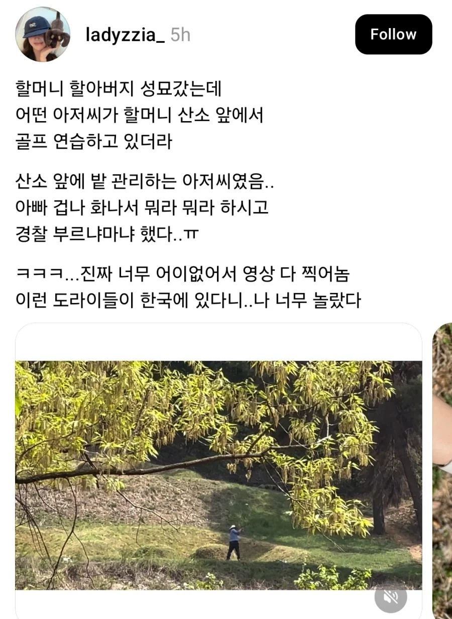 할머니 산소에서 골프 연습하는 관리인