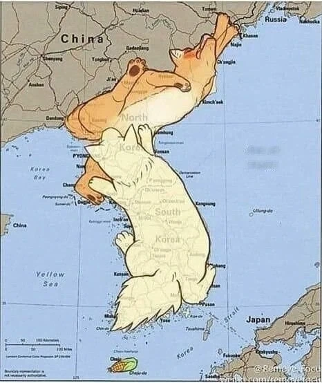 한반도 동물화의 색다른 해석.jpg