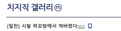 하꼬방에서 채팅쳐버렸다.jpg
