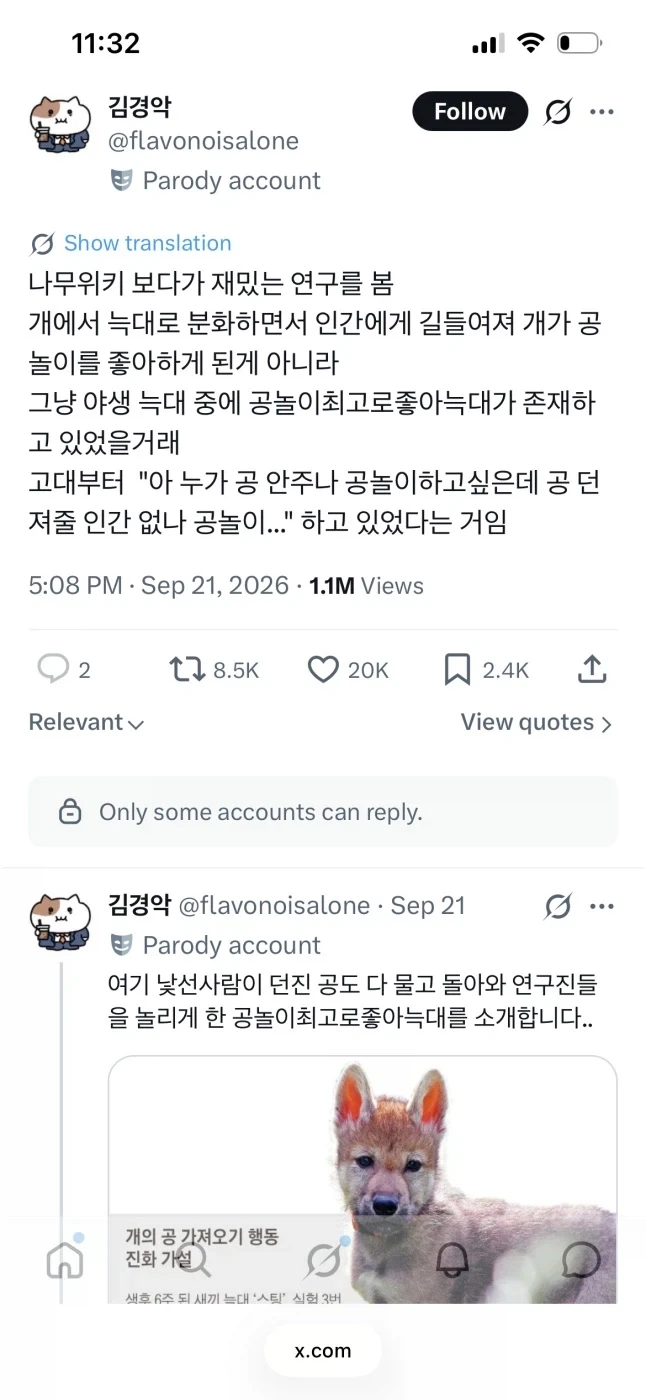 늑대->개에 대해 스톡홀름에서 한 잼난 연구