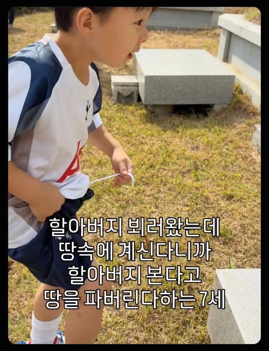 할아버지 보고 싶어서 파묘하는 손자