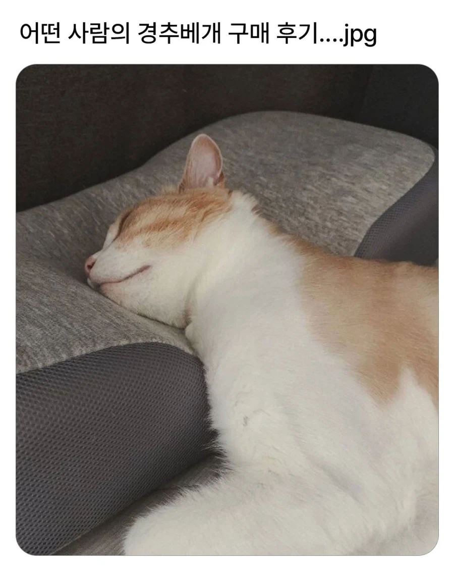 어떤 사람의 경추베개 구매 후기...