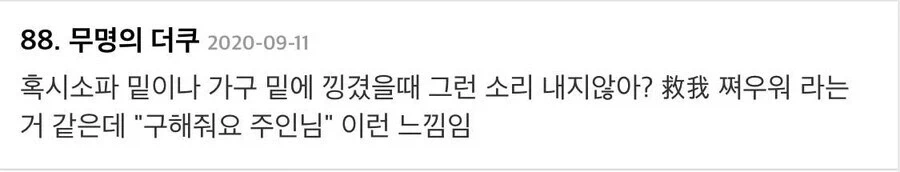 중국산 로청이 자꾸 혼잣말을 해요 - 이미지 4
