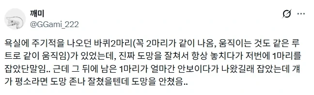 욕실에 같이 나오던 바퀴 2마리가 있었는데.jpg