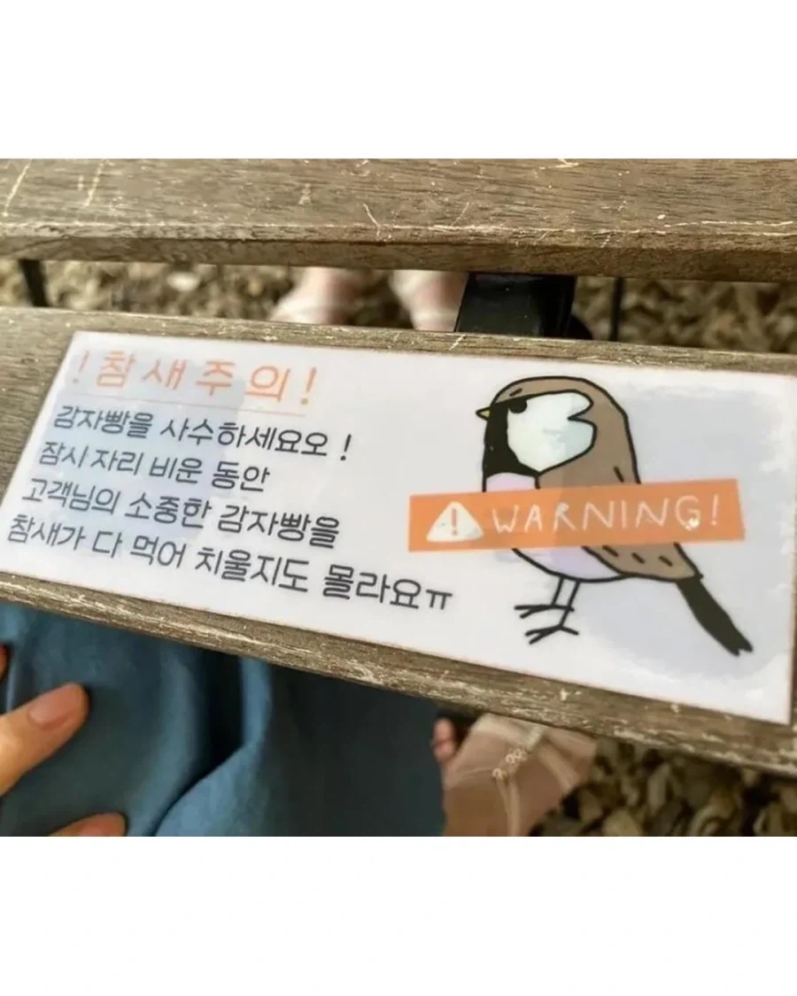 이 참새 유명한가 봄 - 이미지 6