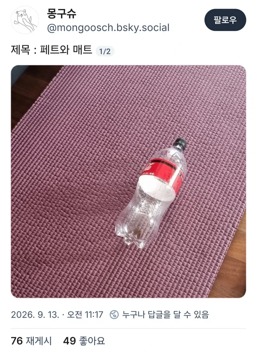 페트와 매트