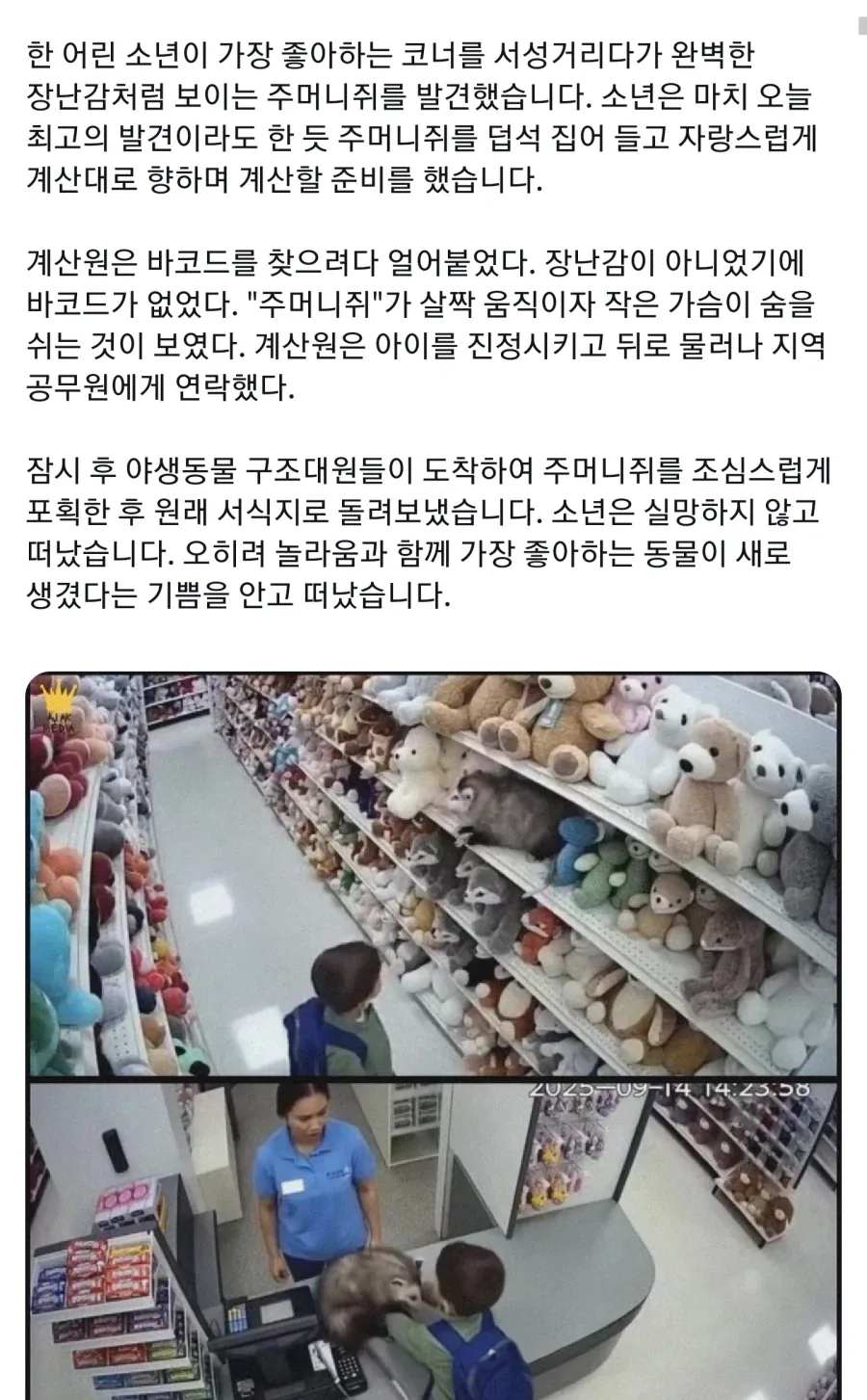 가게에서 팔지 않는 특이한 인형