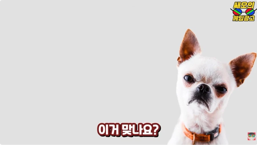 젠존제 100살 할머니 연애 사정 특 - 이미지 3